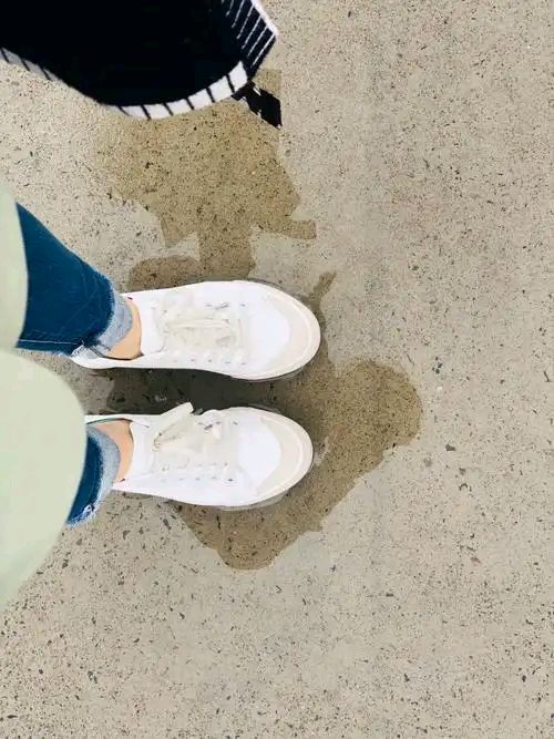 蓝树叶2026年6月第三期积分同题诗（图26）