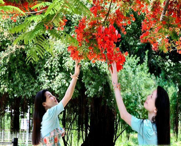 【北京头条】石景章诗歌专辑087期（图8）
