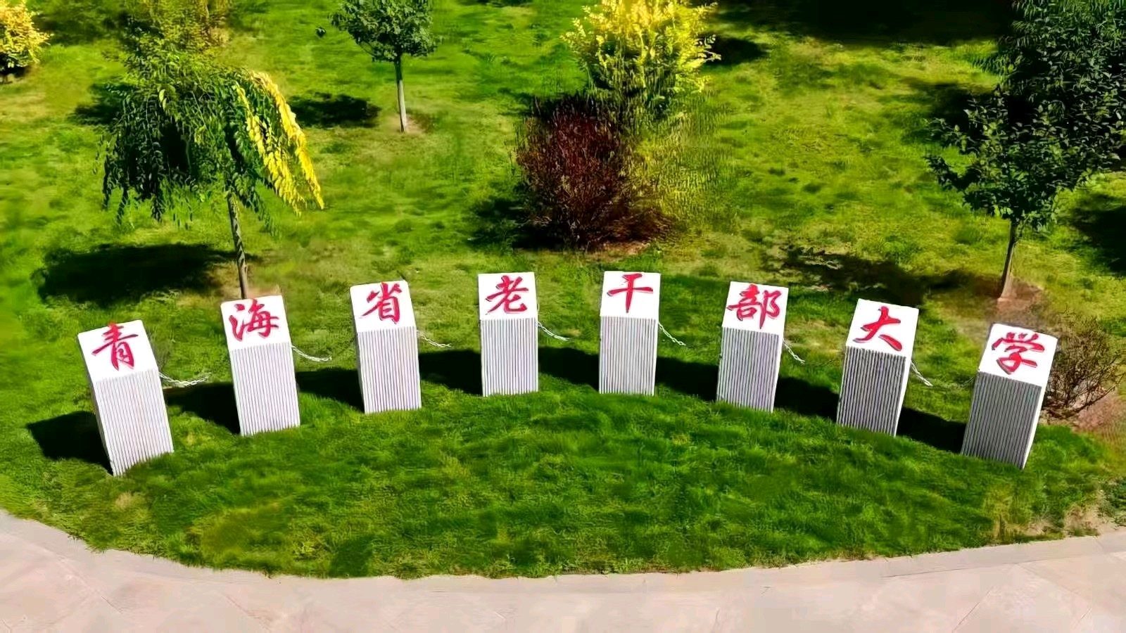 【红心向党】向党倾诉心里话-文/颜宝祥（青海西宁）（图3）