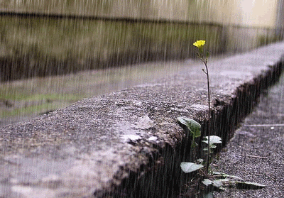 浣溪沙 . 夏瀑雨/江冲（图2）
