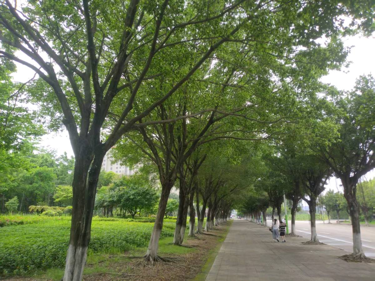 裴训《舒服》及点评