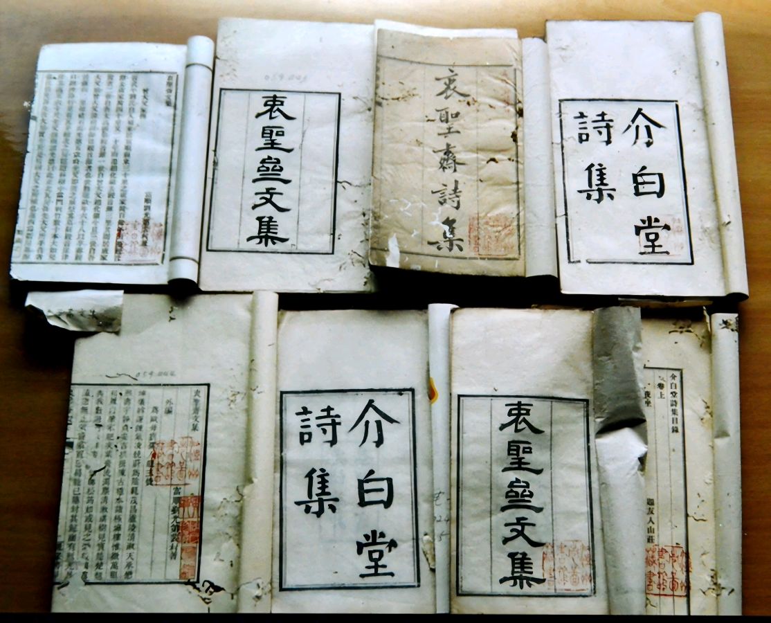 曾是江阳一男子——刘光第与泸州(图7)