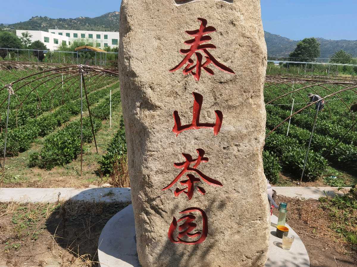 【中国文摘】钰福集团简介及康养中心掠影(图7)