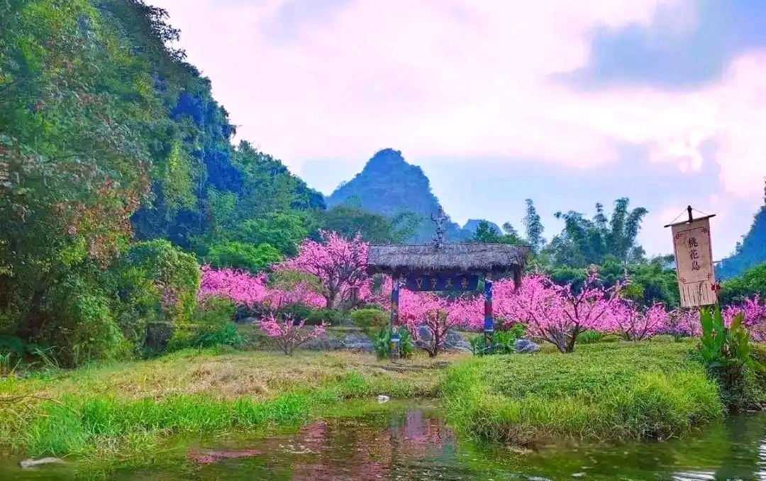 农民工(组合)孟全宇(陕西)(图19)
