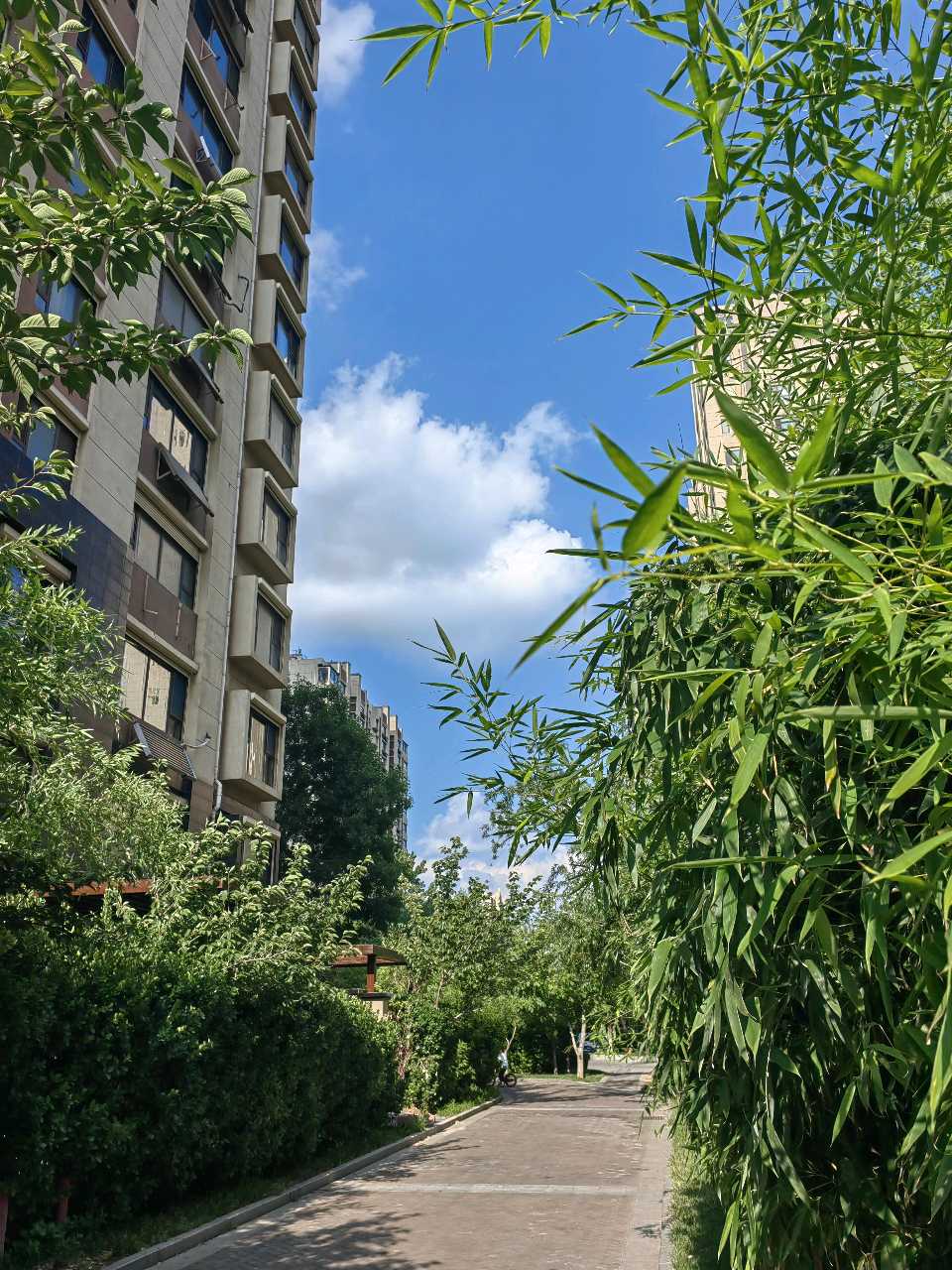 天空多白云☁（图2）