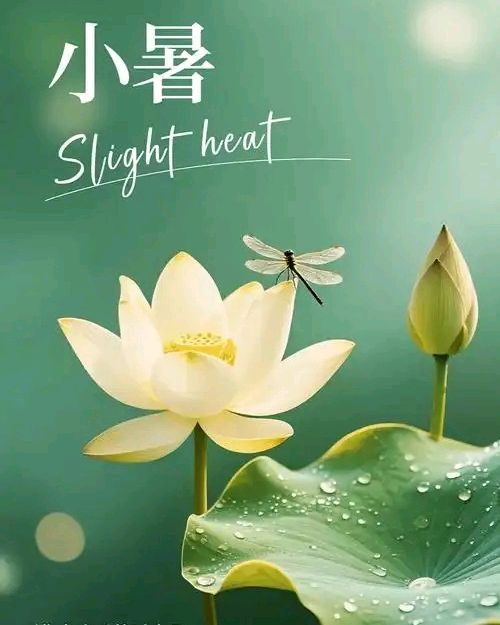 【山水怡情】NO:35 七一余欢盈小暑,卢沟雪耻八九年。(图3)