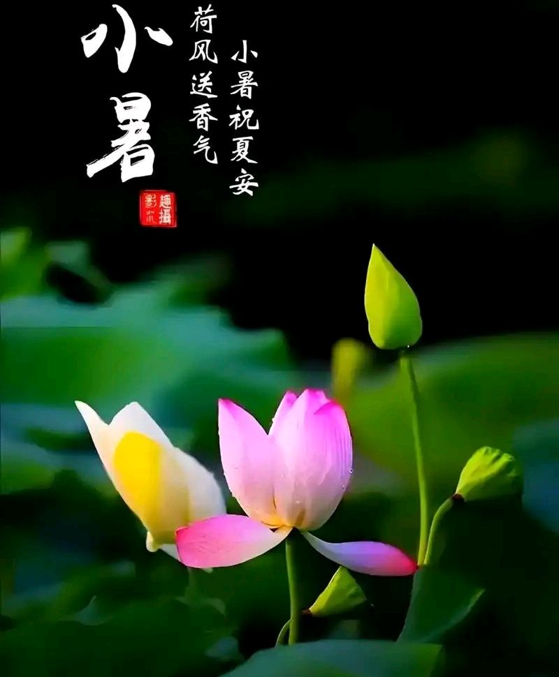 【山水怡情】NO：35 七一余欢盈小暑，卢沟雪耻八九年。（图6）