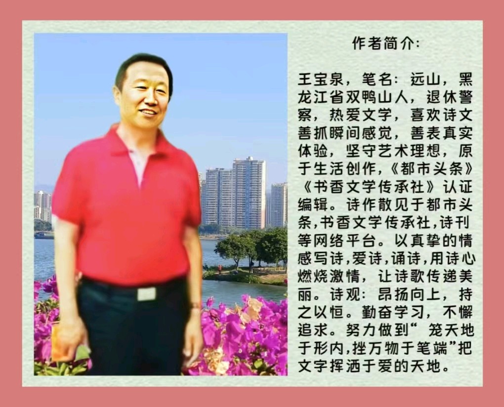 水调歌头《清城烟雨》 作者:王宝泉（粤）（图8）