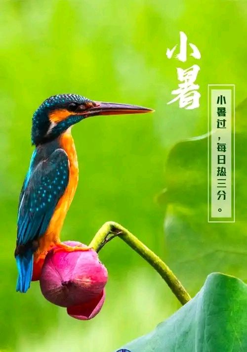 【山水怡情】NO:35 七一余欢盈小暑,卢沟雪耻八九年。(图18)