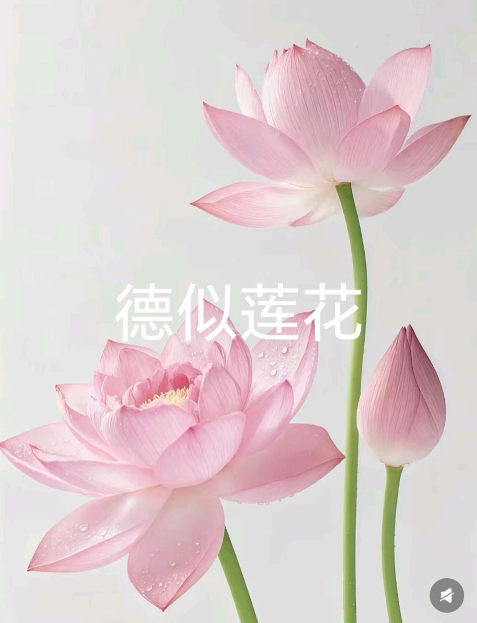 七律·感怀《万空歌》 作者:唐增虎(山东)（图5）