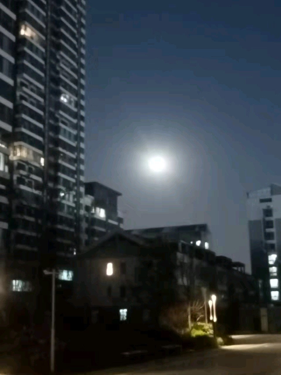 诗十一首 作者：柯美柘 都市头条——上海头条（图2）