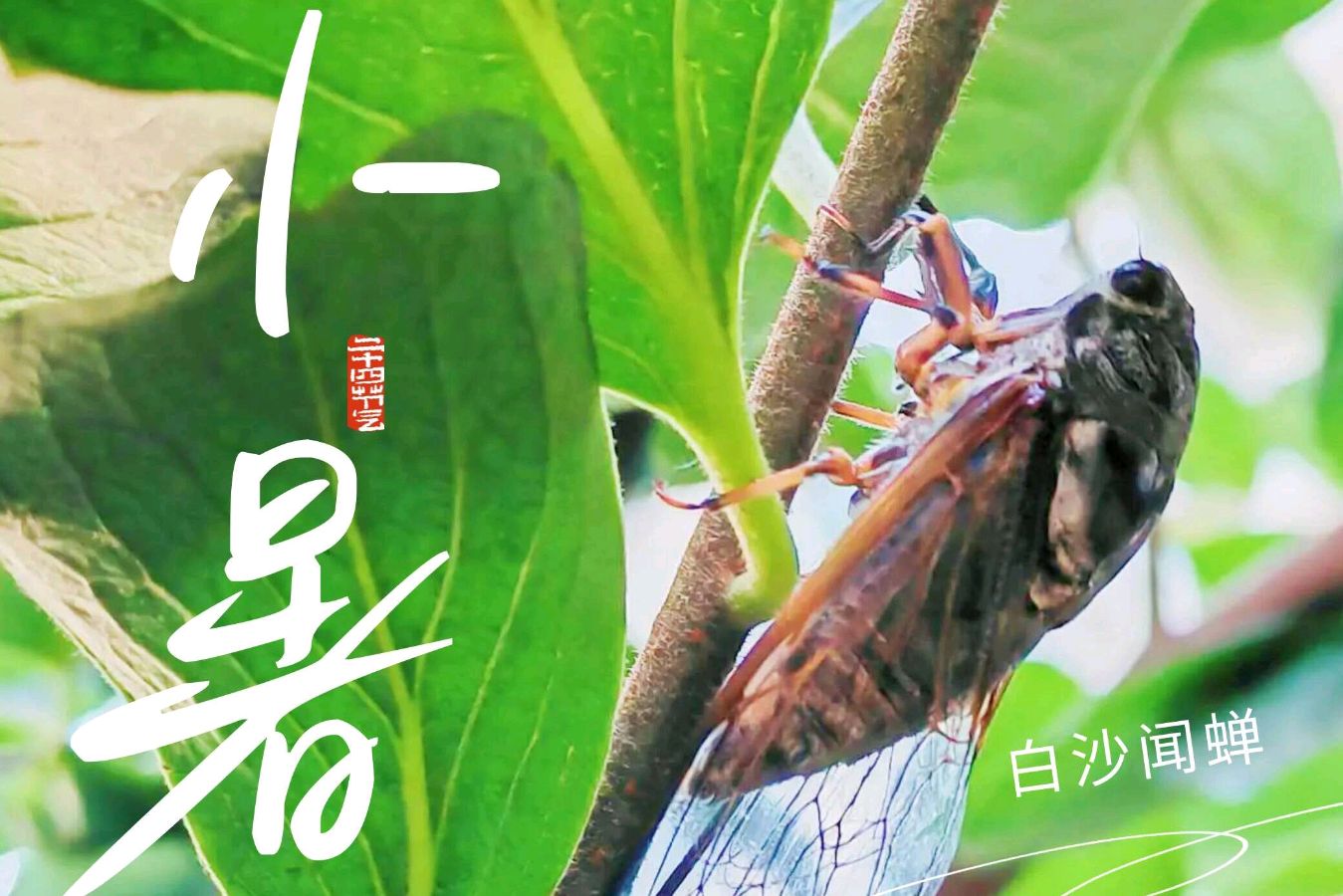 诗话《西游记》系列七律诗之四十八 七律·唐僧化缘误入妖洞 晓言（江西）（图5）
