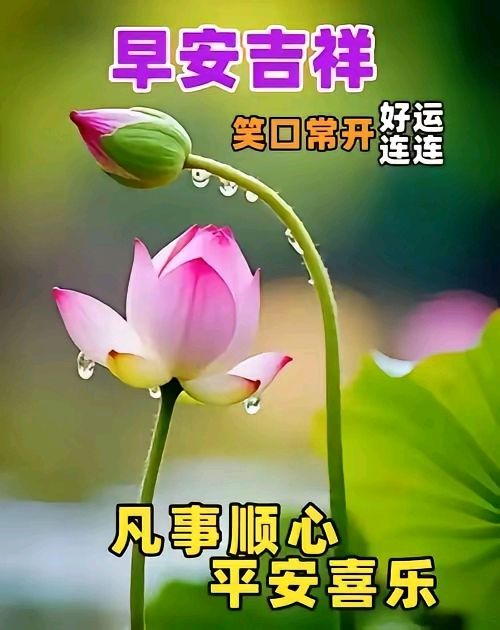 《长歌当啸!央视2026〈朝闻天下〉20首〈永遇乐〉雄浑交响,一篇大赋写尽复兴长卷!》(图5)