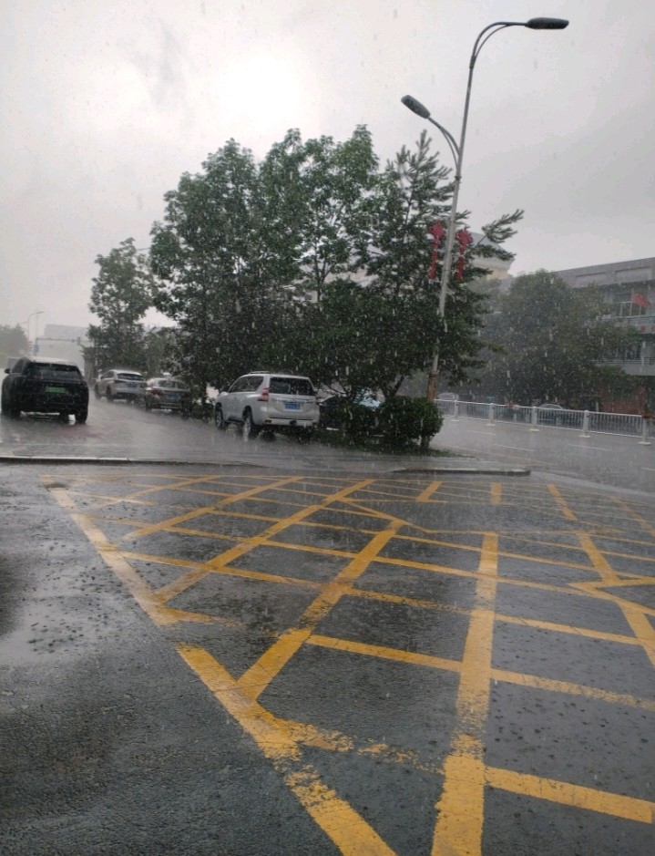鹧鸪天·盛夏中雨抒怀（图9）