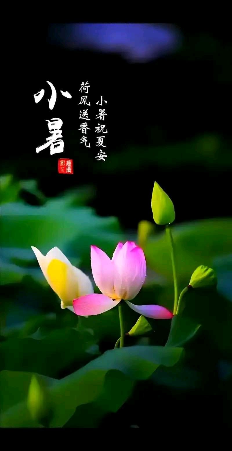 念奴娇-小暑文／知无涯（图3）