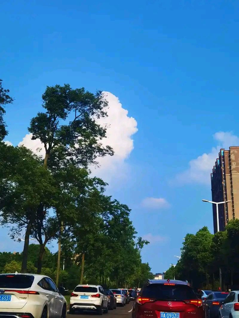 云飞累了，栖在绿枝上，于是，美的意境落入诗人的笔尖—题图诗—文化强国量子诗歌实验室（筹）（图13）