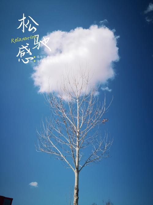云飞累了，栖在绿枝上，于是，美的意境落入诗人的笔尖—题图诗—文化强国量子诗歌实验室（筹）（图27）
