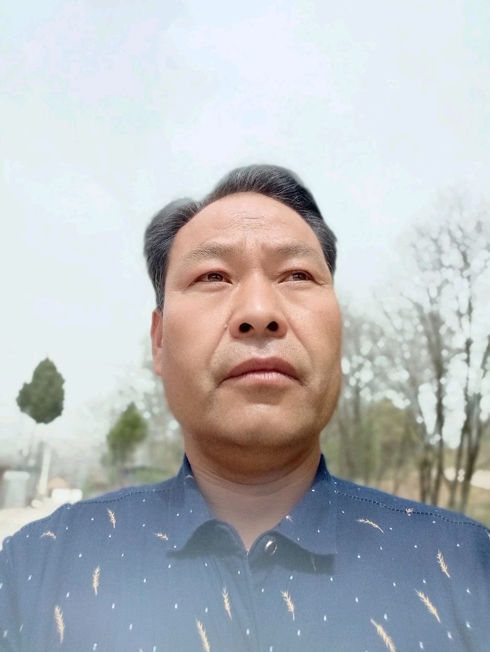 云飞累了，栖在绿枝上，于是，美的意境落入诗人的笔尖—题图诗—文化强国量子诗歌实验室（筹）（图44）