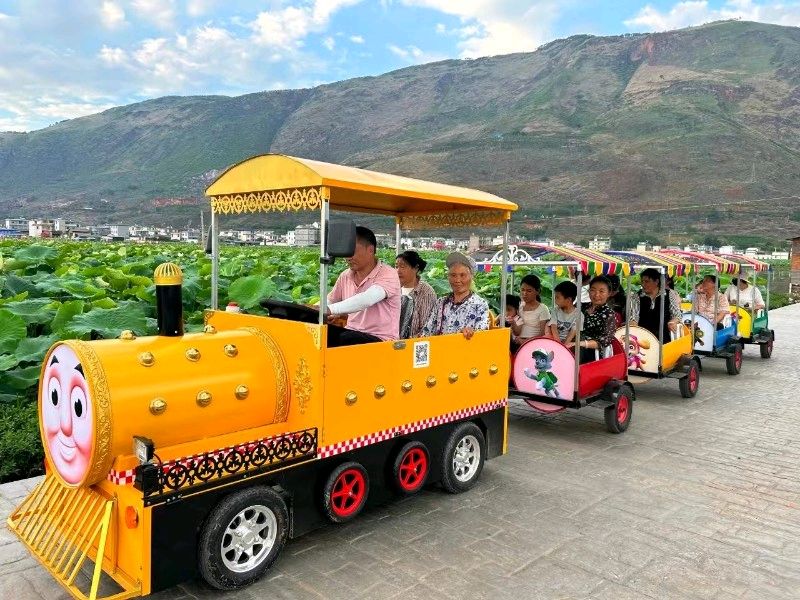 与你相遇，荷其有幸（图10）