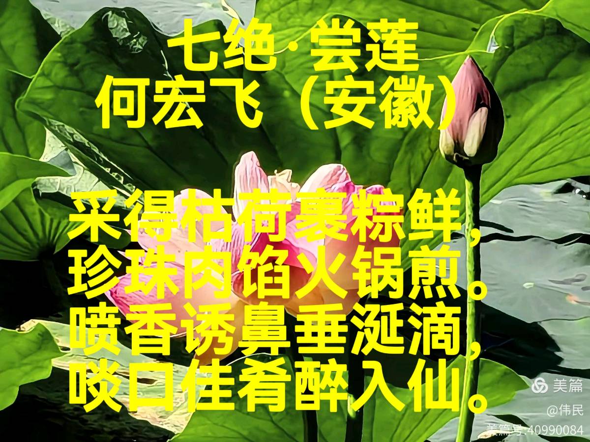 何宏飞/莲韵诗情（图3）