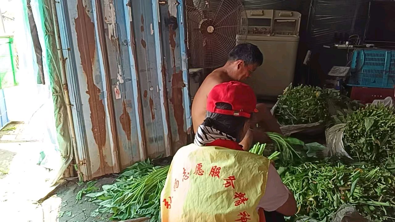 大棚察民情 帮扶解农忧（图4）