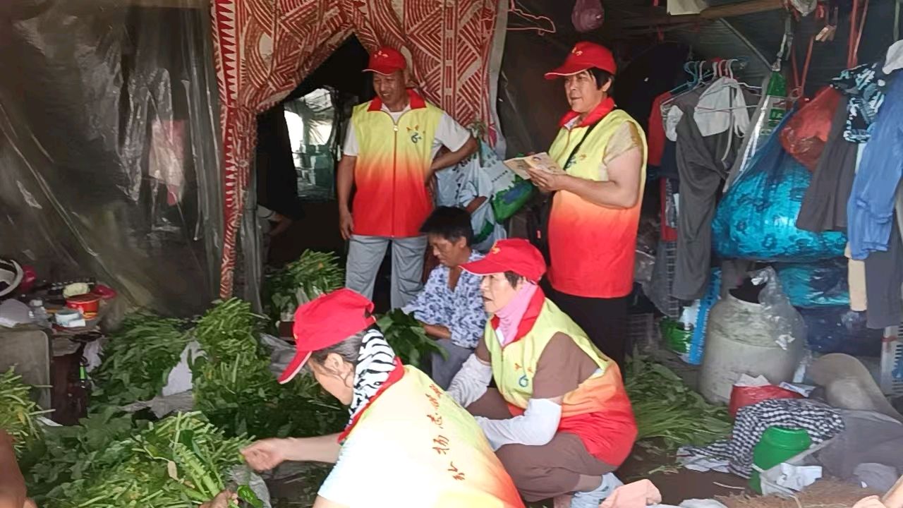大棚察民情 帮扶解农忧（图3）