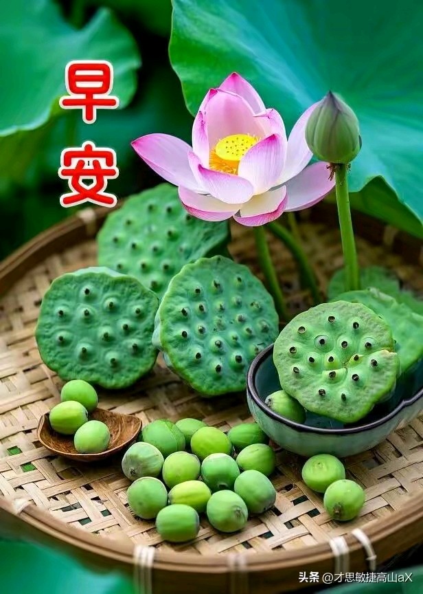 《风云激荡七月天:十六阕水龙吟尽揽天下事,一卷雄赋写尽世间奇》(图3)