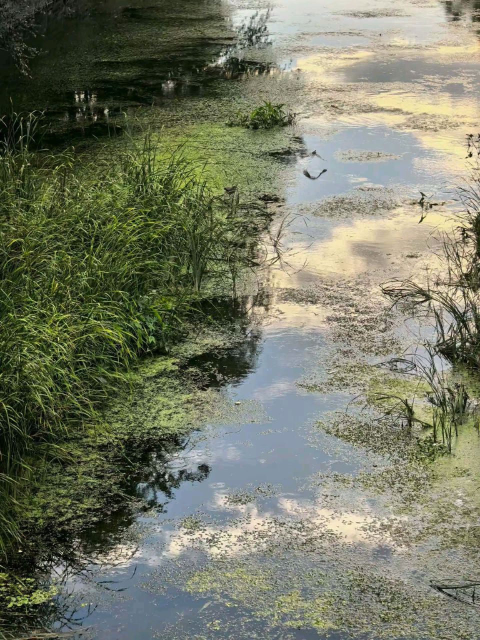风云漫卷兴济河（图6）