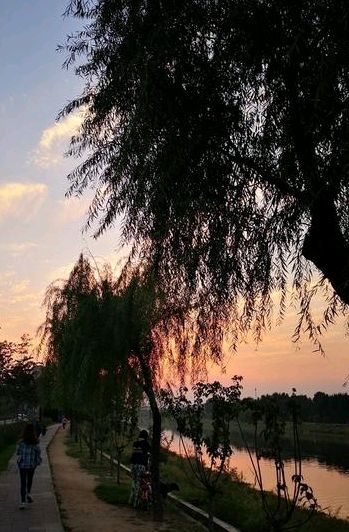 风云漫卷兴济河（图9）