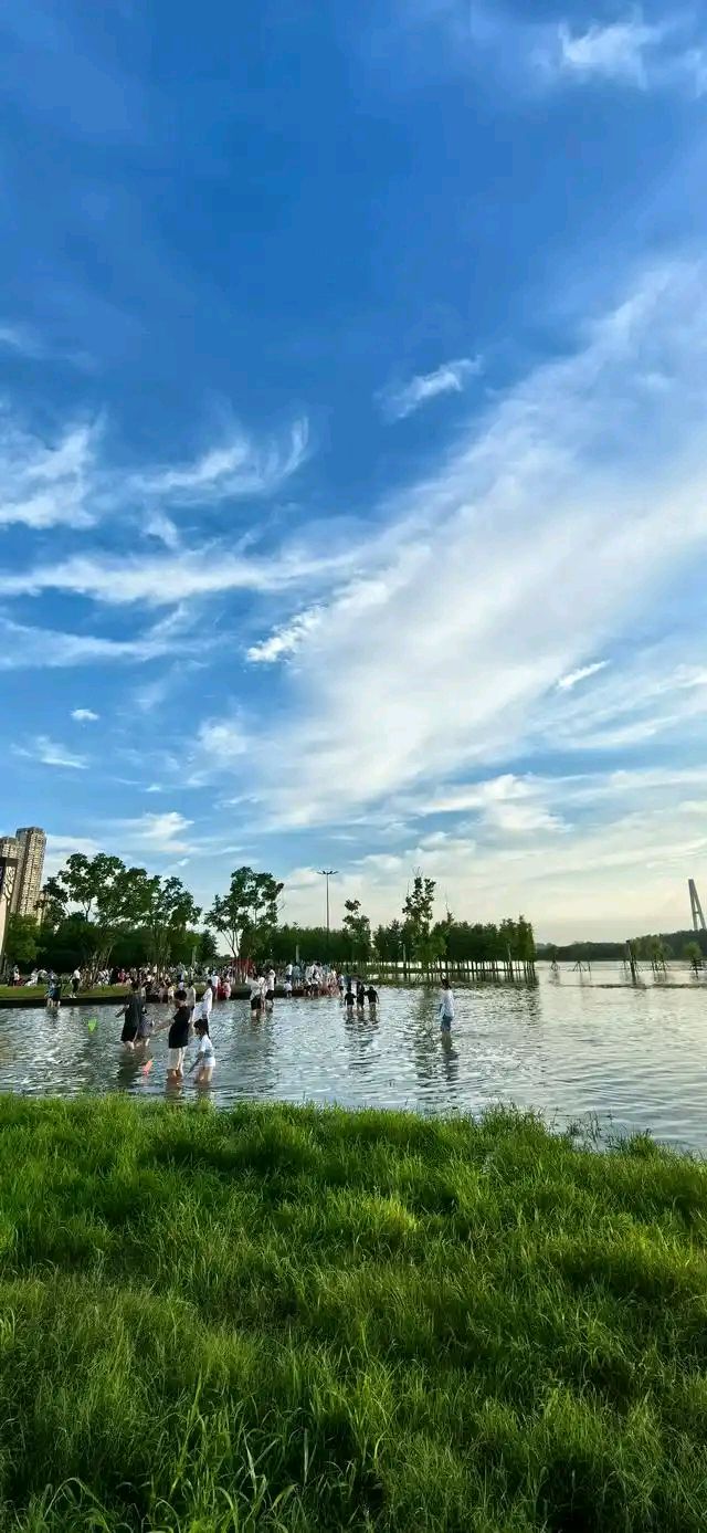 入伏 ~作者~唐增虎（山东）（图5）