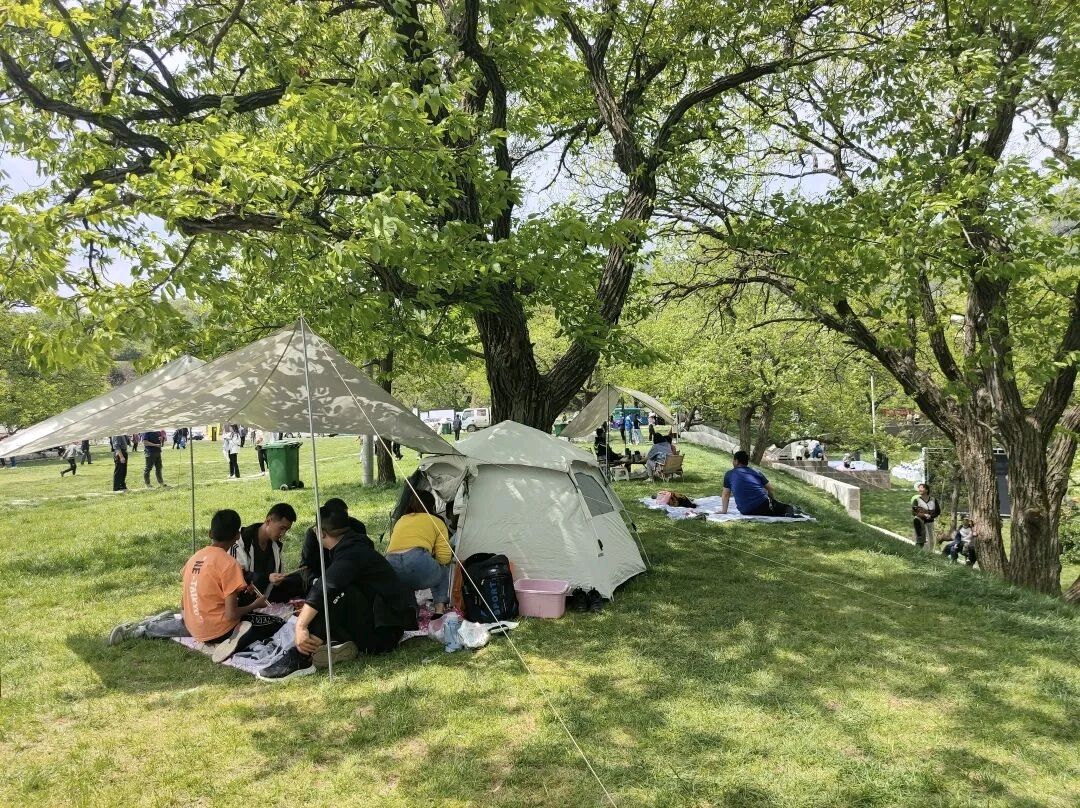 夏日郊游漫兴金夜（兰州）（图3）