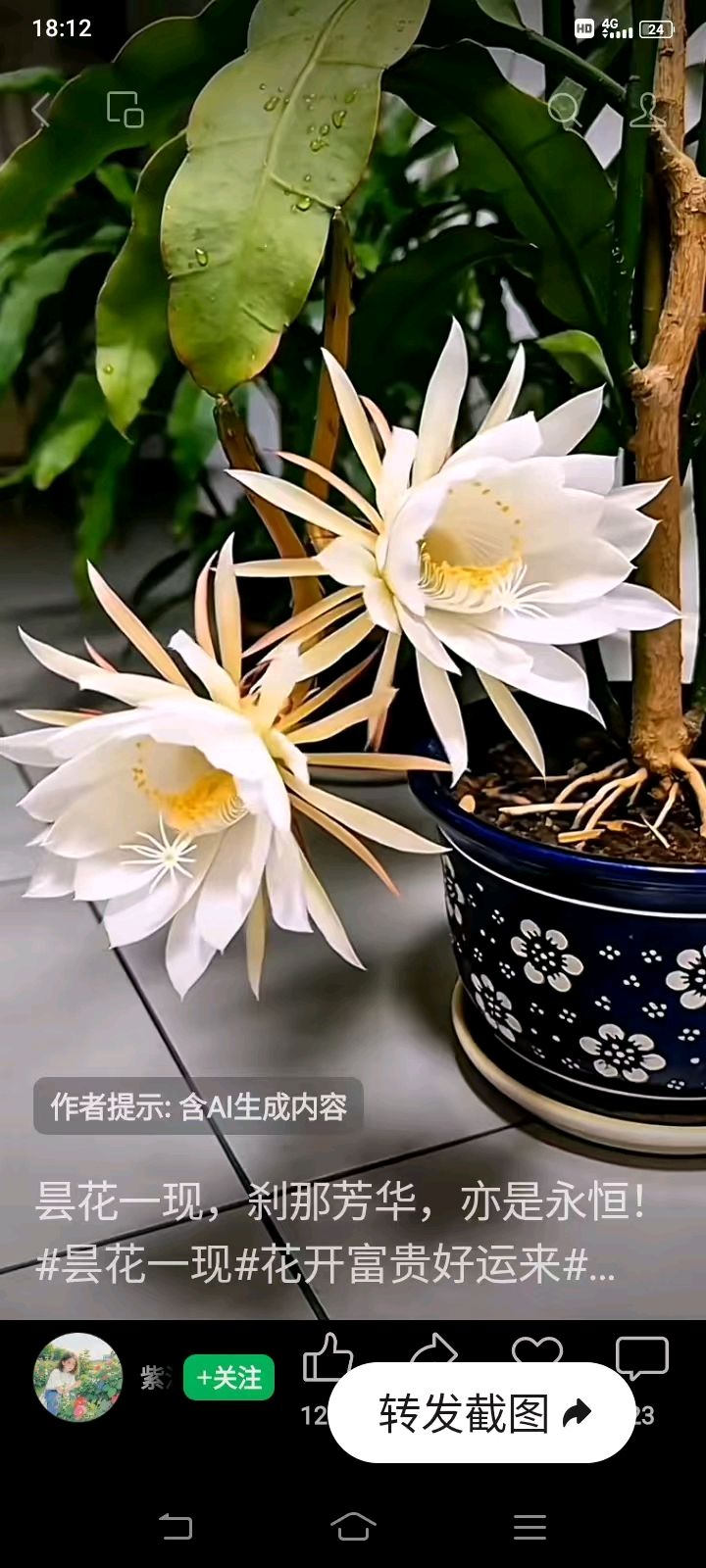 藏头诗:最美瞬间刹那芳华文/王俊杰(天津)（图3）