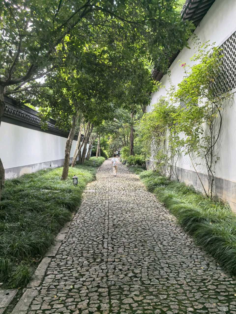 携外孙再游古猗园（图4）