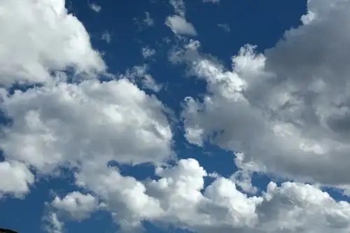 「墨兰之声」(二) 雨中花诗歌品读《睡前书》【海外华英】（图13）