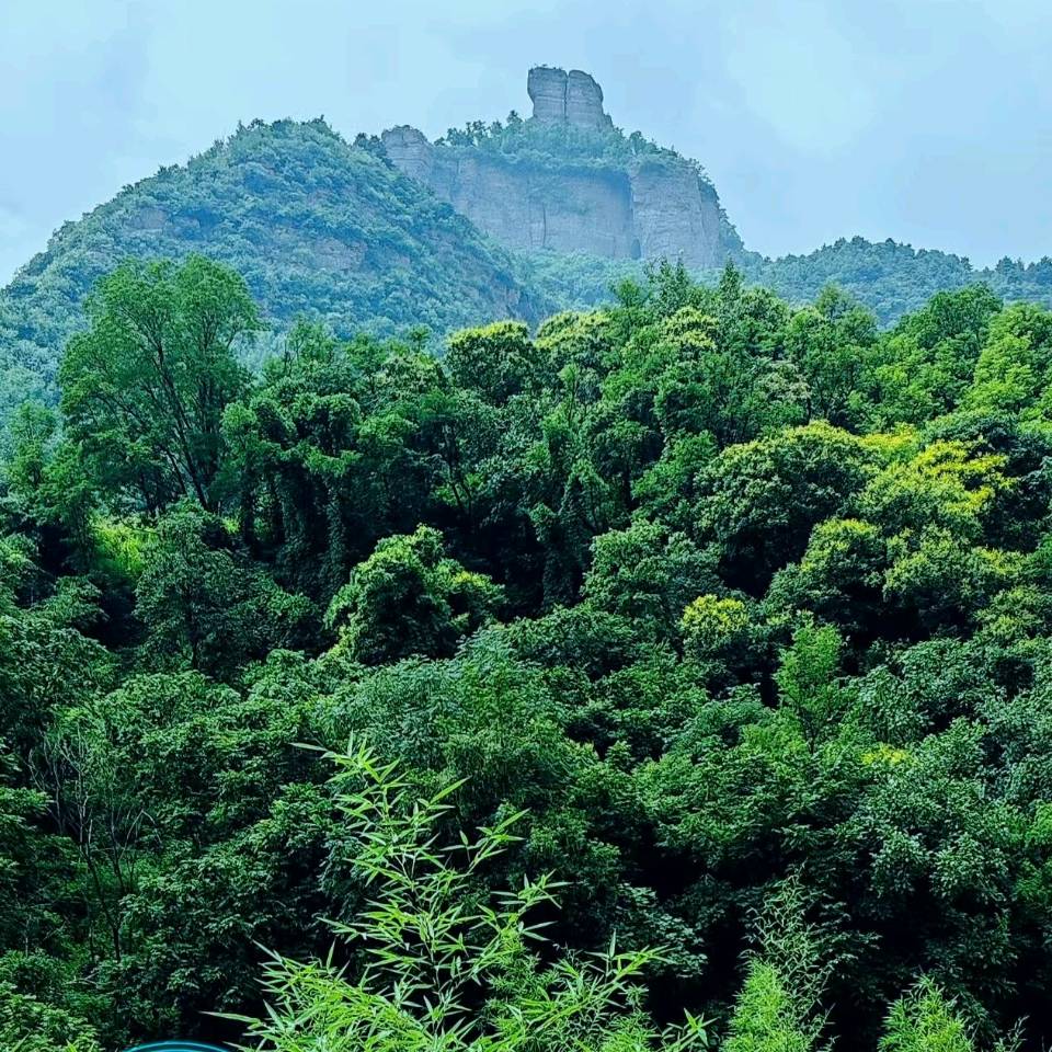 撰稿：白荷《缘定太行》