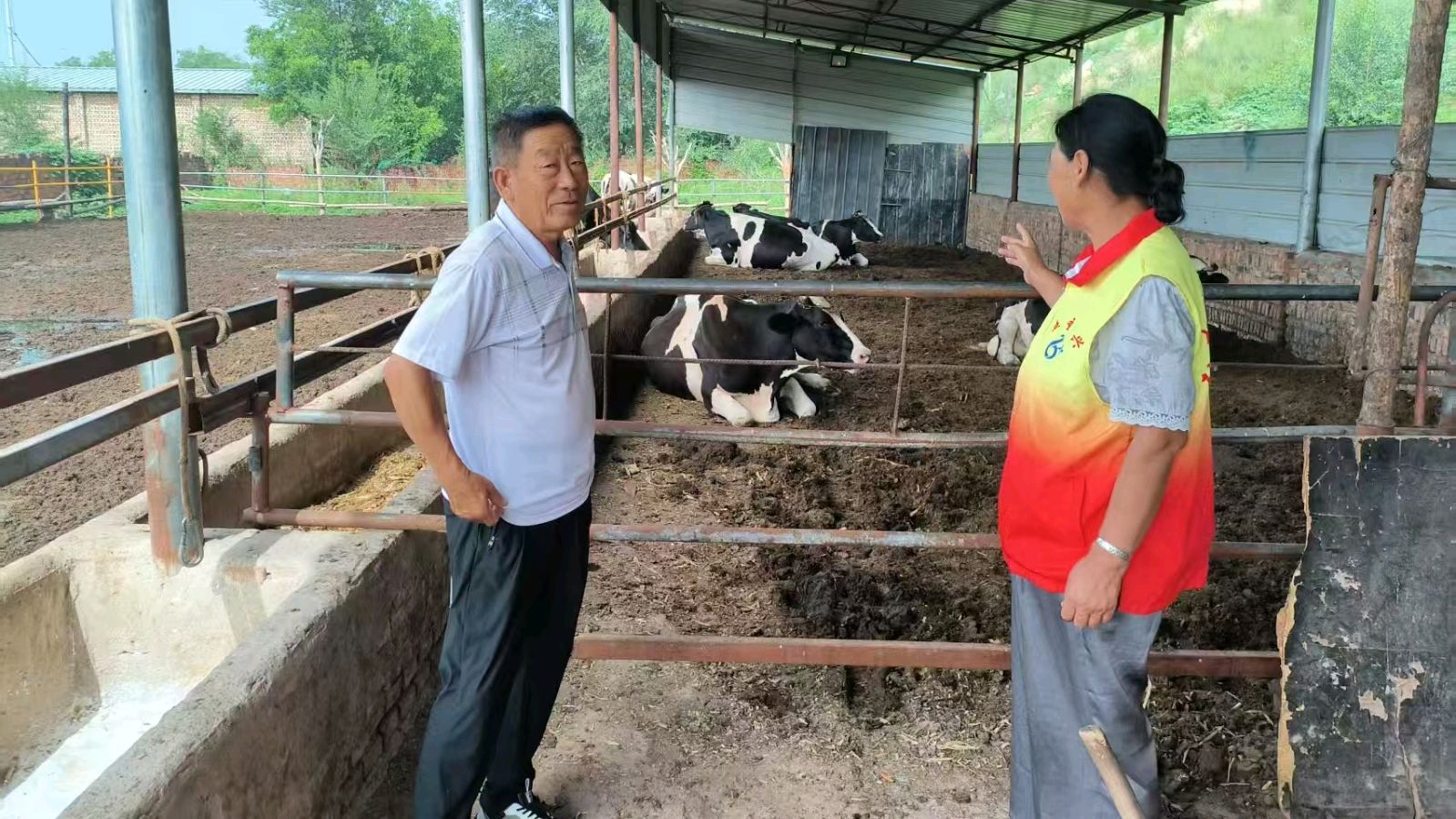 入户走访养殖户 了解奶牛经营实情（图2）