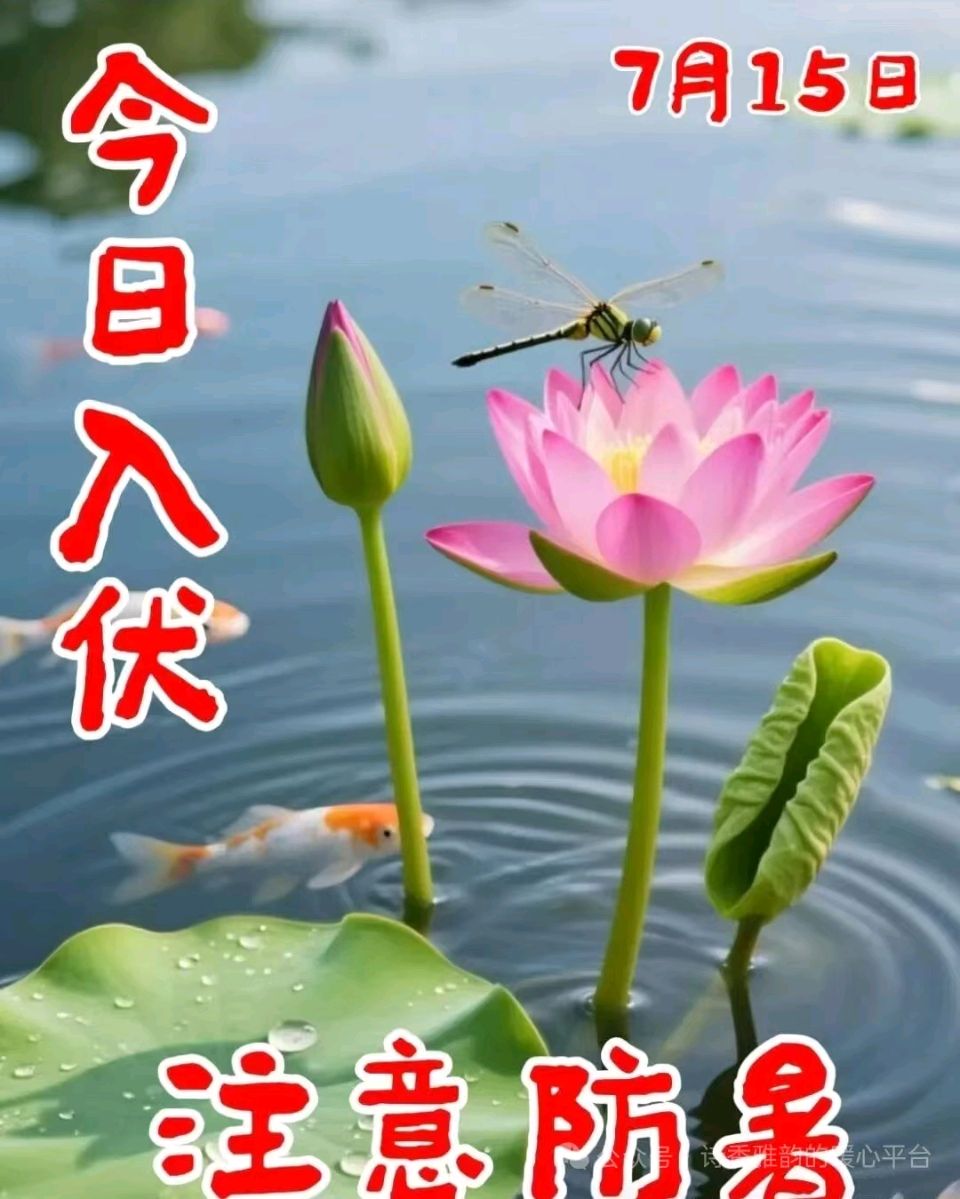 秋谷——入伏(外一首:雨中遣怀)(图2)