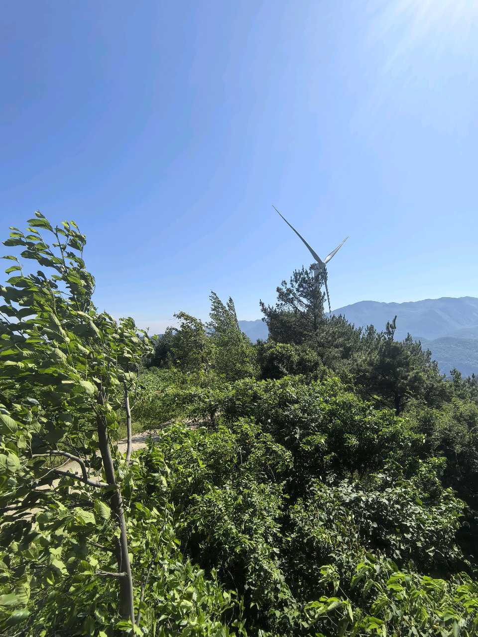 「纪实散文」深山育稚子 铁魂润童心(图6)