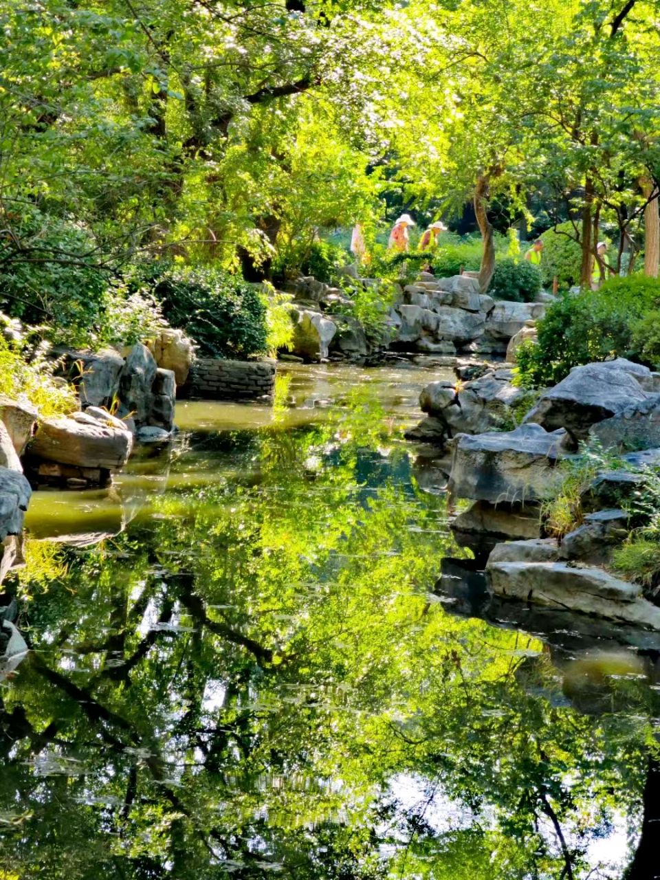 夏日觅清凉（图8）