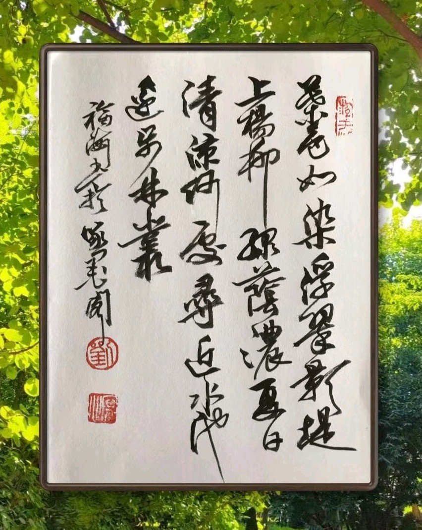 夏日觅清凉