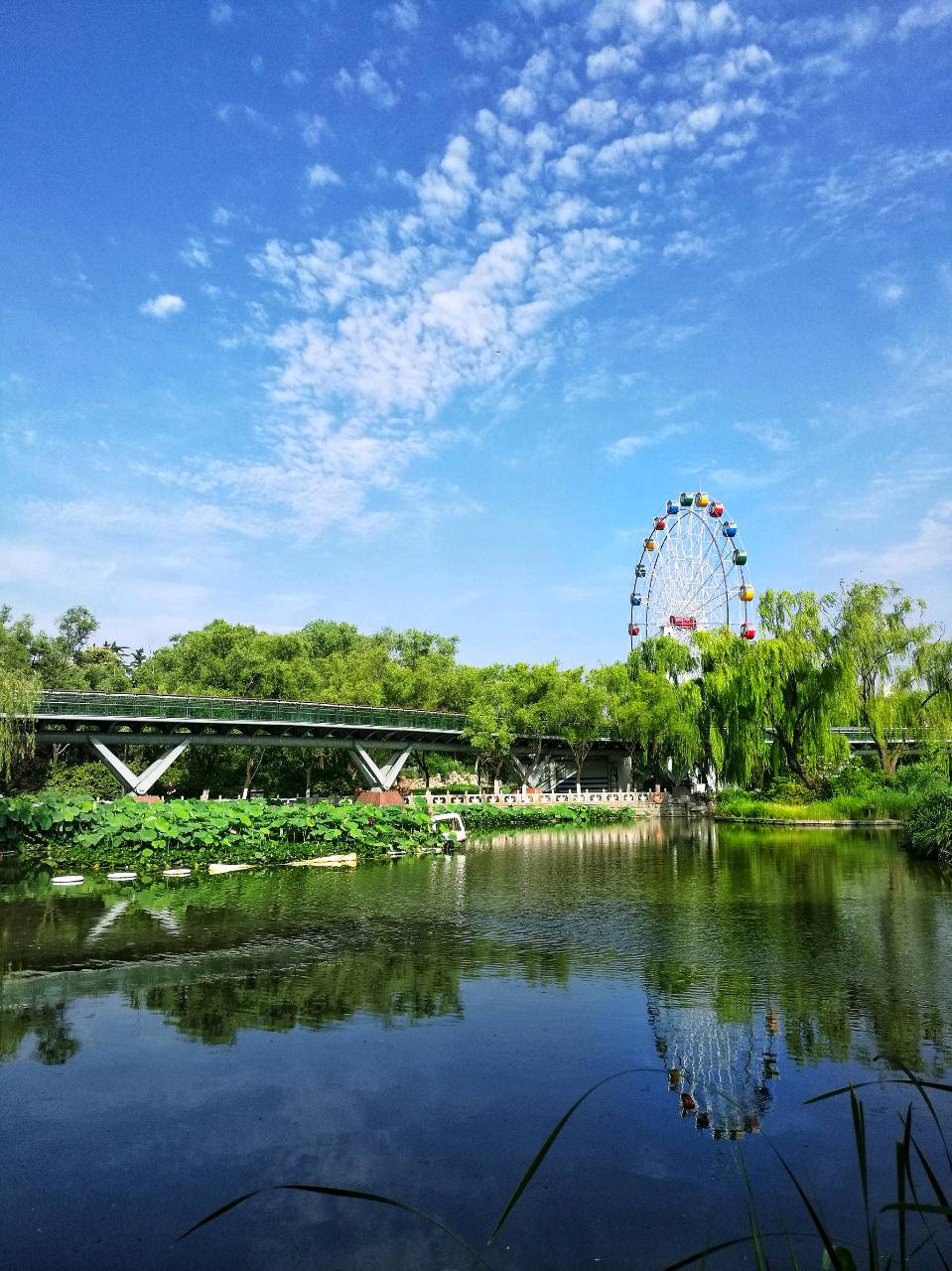 夏日觅清凉（图2）