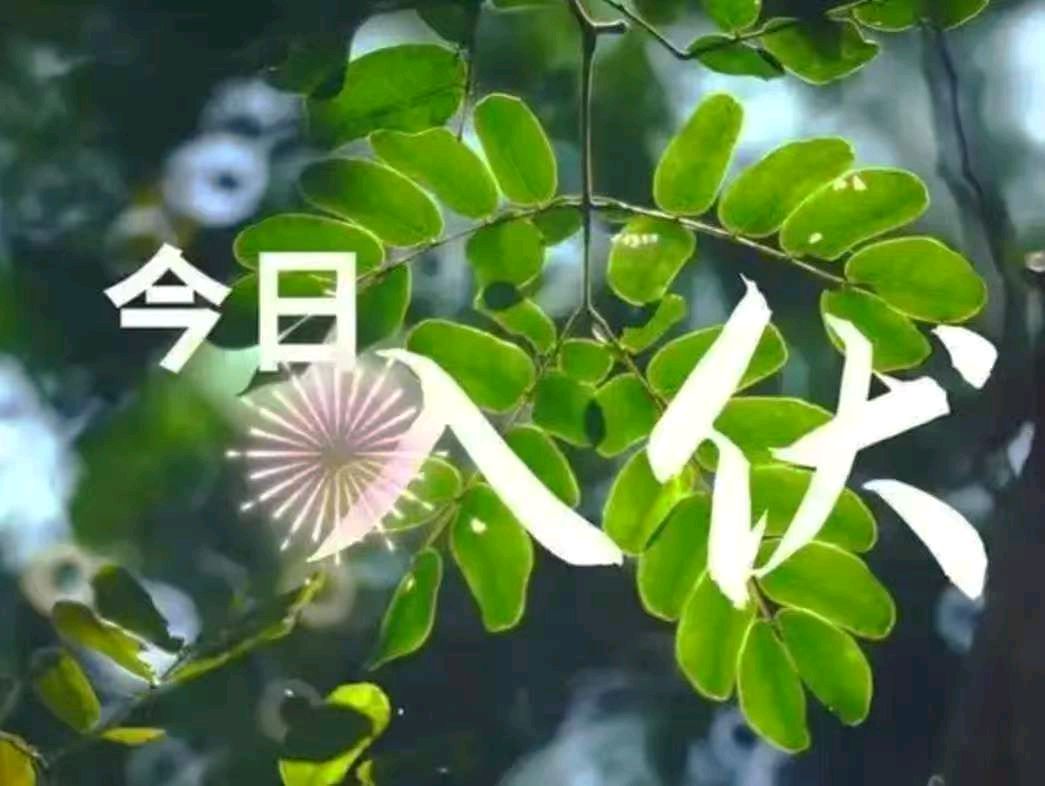 七绝二首·今日入伏/作者:平安是福(张福安)(图5)