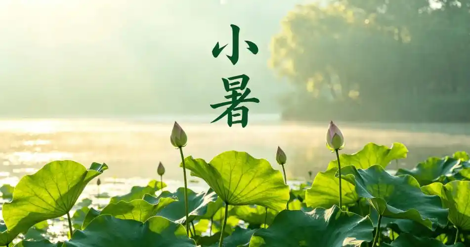 【明心文学】蔡全花/诗词三首 主播/张兆维(图3)