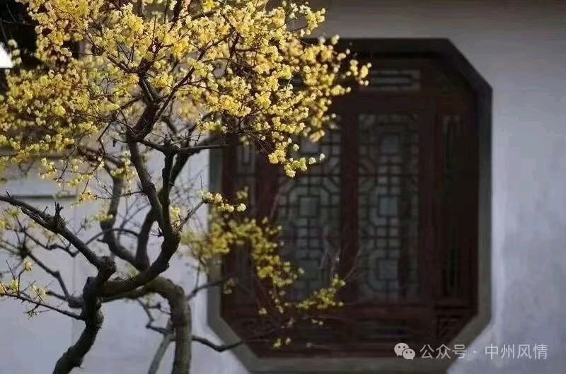 其他(七)，谁是谁的故事（图4）
