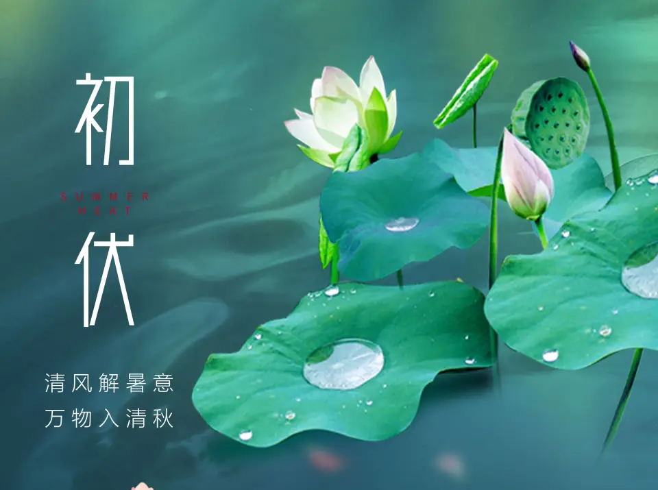 【神都诗社】龙门诗苑063期《入伏》（图9）