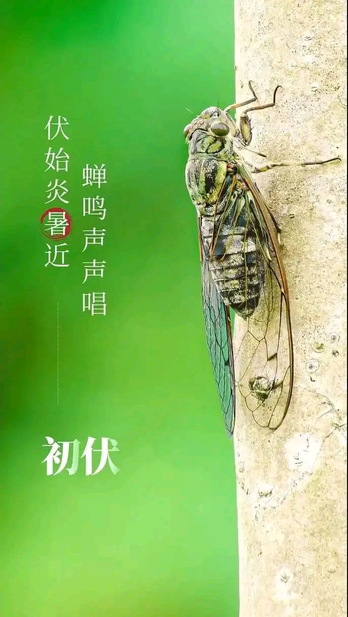 【神都诗社】龙门诗苑063期《入伏》（图19）