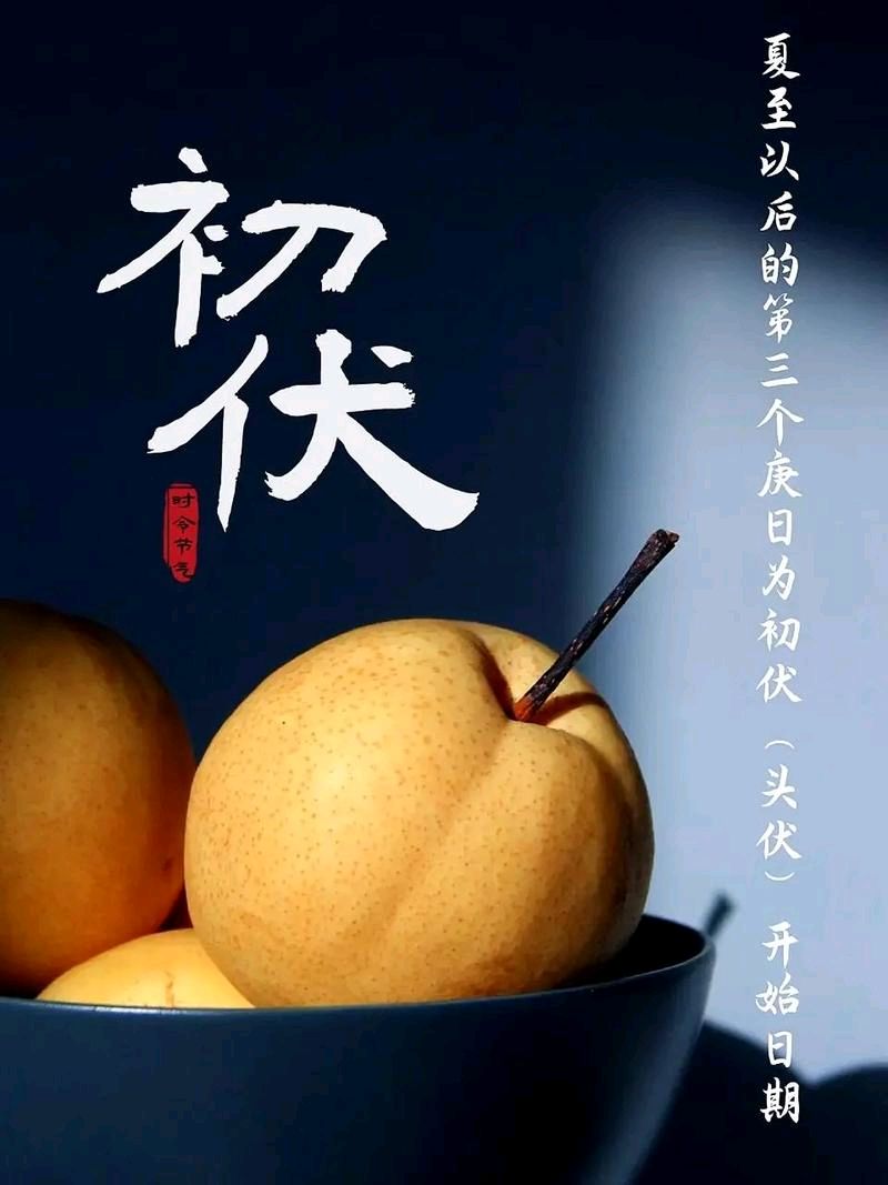 【神都诗社】龙门诗苑063期《入伏》（图21）