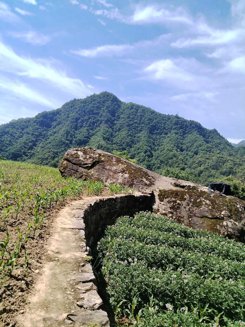 终南遐思