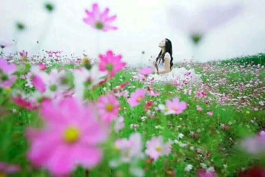 《那年花开，你从花间走来》作者/王庆福 主播/丽丽 主编/胡琴（图2）