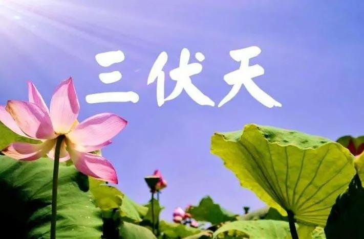 【中国诗人】文坛*行香子·三伏天作者/徐贤：上海（图3）